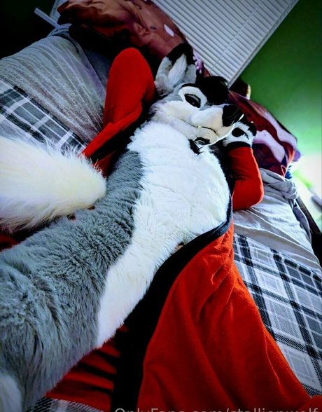 stallionwolf ass onlyfans