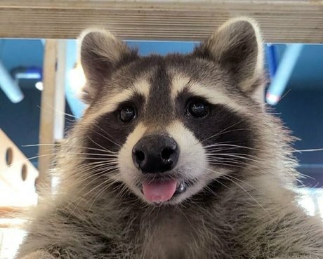 maskkim onlyfans leaked photos