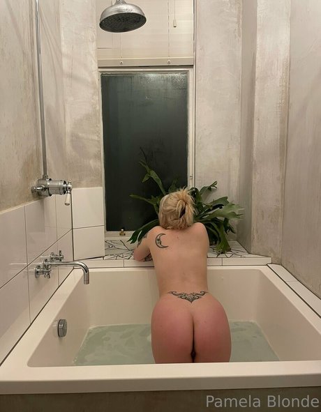 servepamela onlyfans leajs