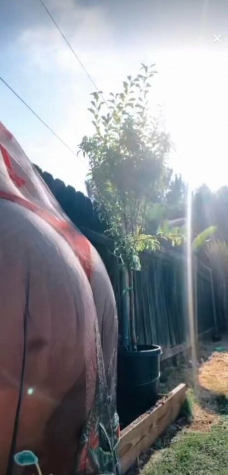 Jessica Miller onlyfans nude pictures