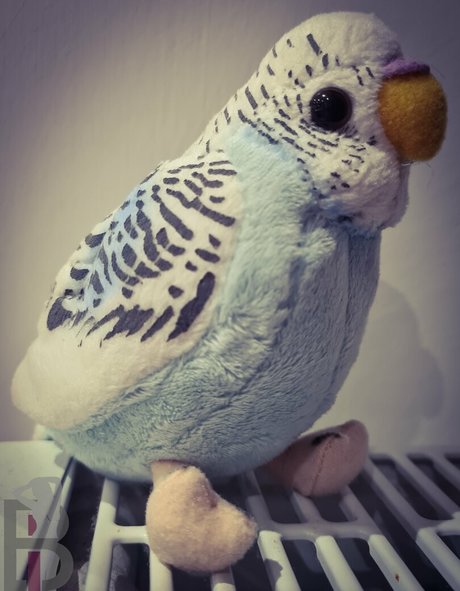 belle lou nude onlyfans leak