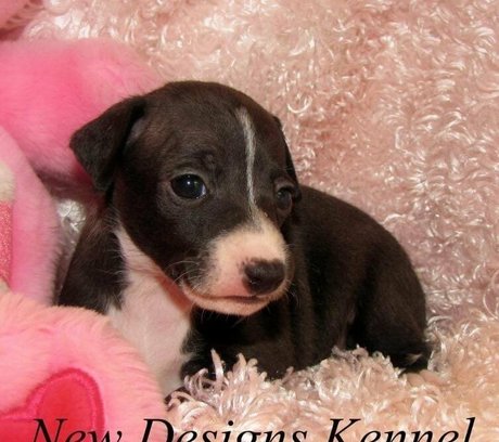 jizzgooglezmfc topless onlyfans