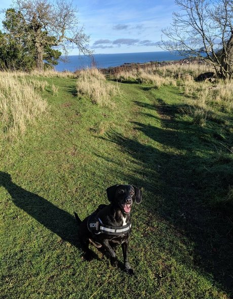 missmarilynxx onlyfans leaked