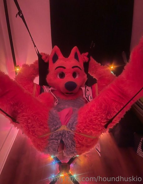 houndhuskio onlyfans star