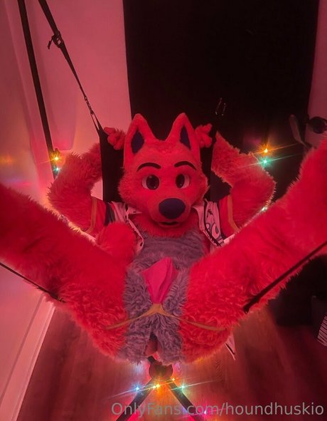 houndhuskio onlyfans de
