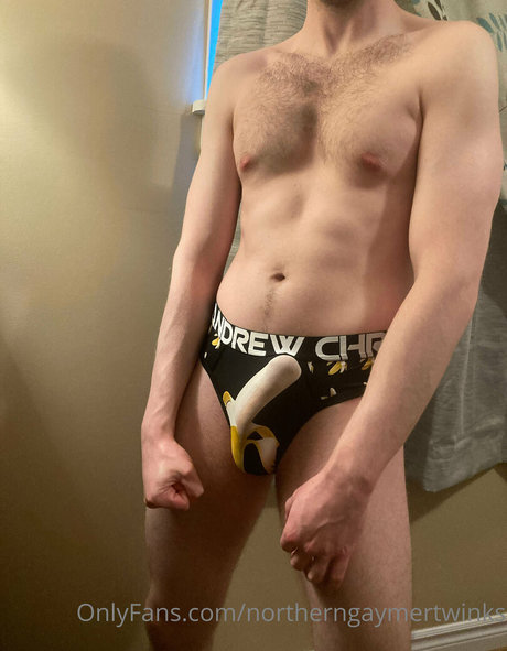 northerngaymertwinks leaked onlyfans