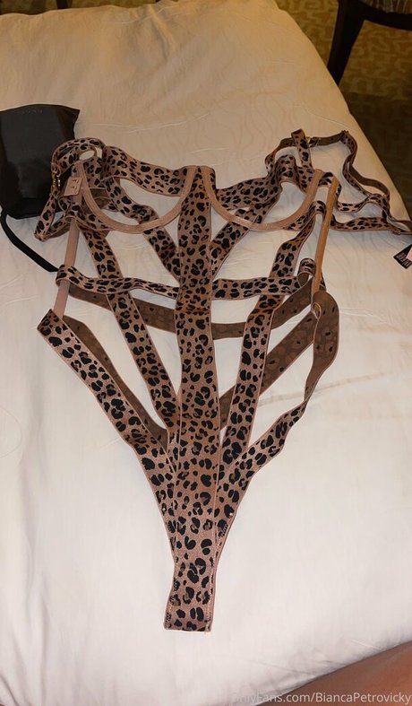 biancapetrovickyoficial nudes onlyfans leak