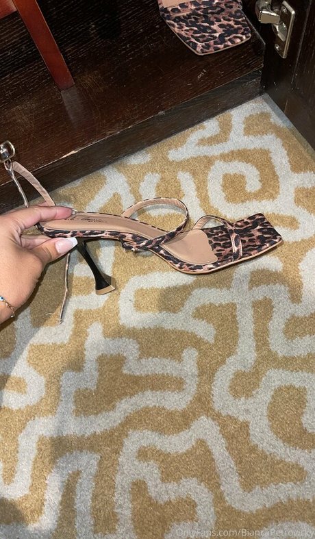 biancapetrovickyoficial onlyfans naked leak