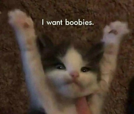 beatskins xxx only fans