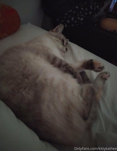 kittykathee Profile pic