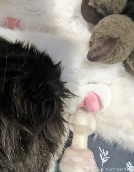 extrasoftpup onlyfans images