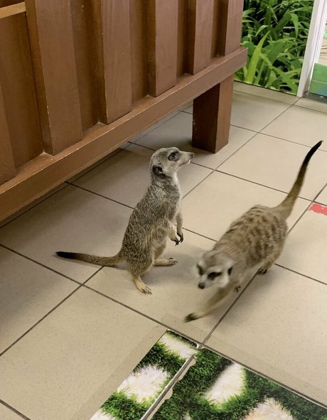 lilu666m onlyfans photo