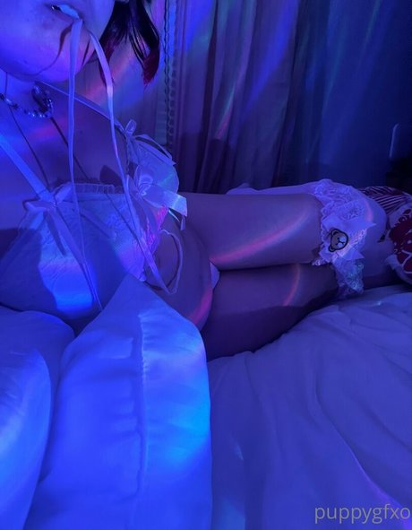 puppygfxo xxx onlyfans