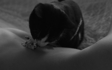 liqweedacid onlyfans topless