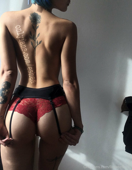 liqweedacid leaked nudes onlyfans