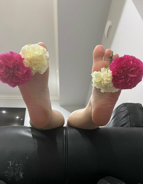 acebosswoman free onlyfans