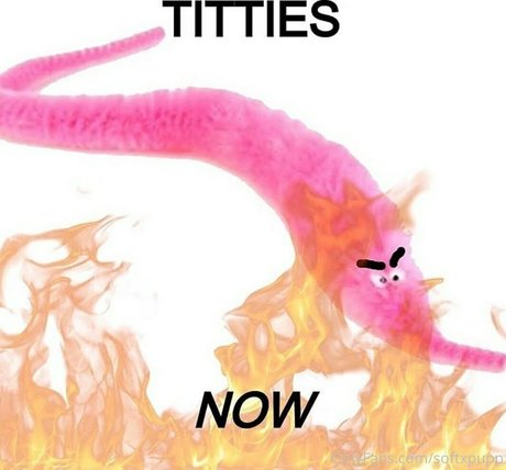 softxpupp free onlyfans