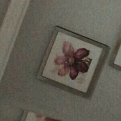 Kittenjojo18 free only fans