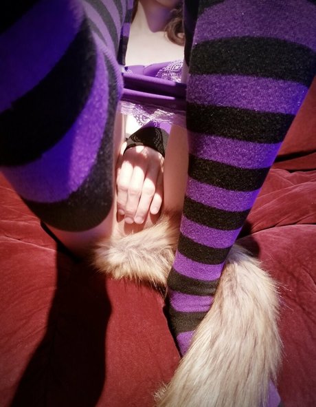 van life onlyfans pretty negative