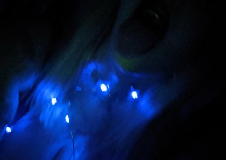 mijizzle porn only fans