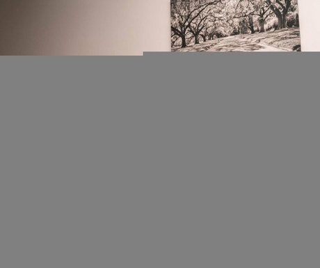 Jessica Kylie adult star archive