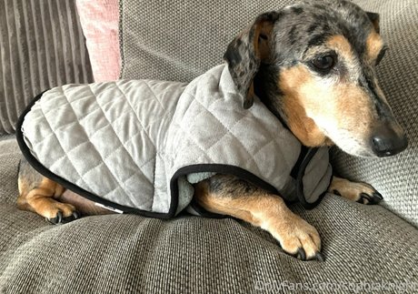 Sophia Knight star nice image