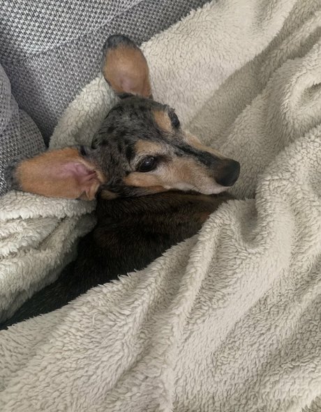 Sophia Knight nice star galleries