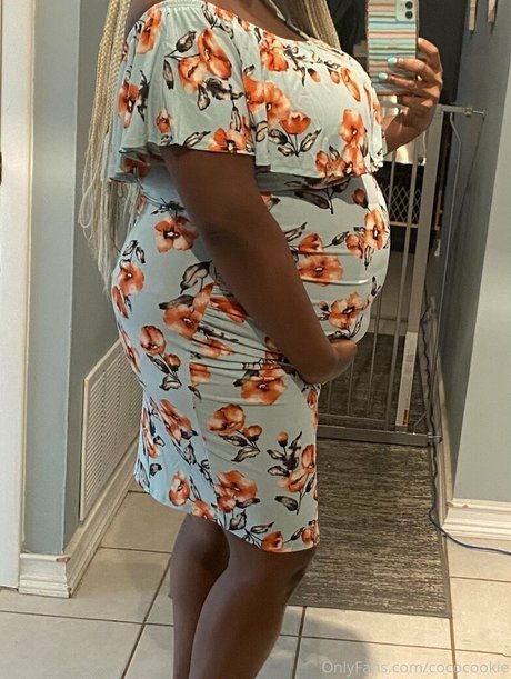 cococookie art model galleries