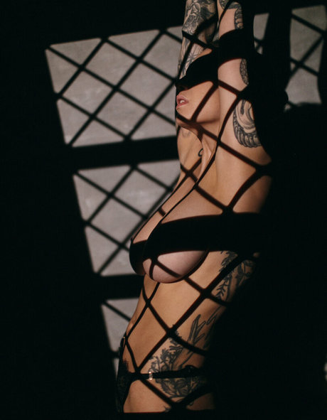 jane tfree pornstar best images