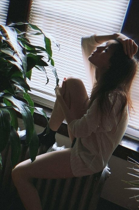 freemoralia nice star archive