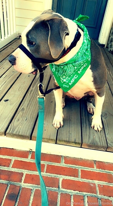 big nipples onlyfans nude photo