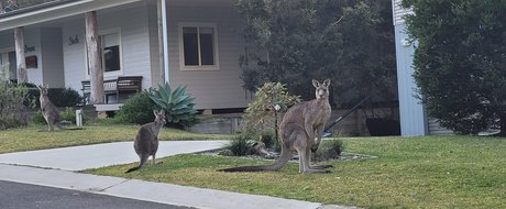 tammycheeks nice pornstar images