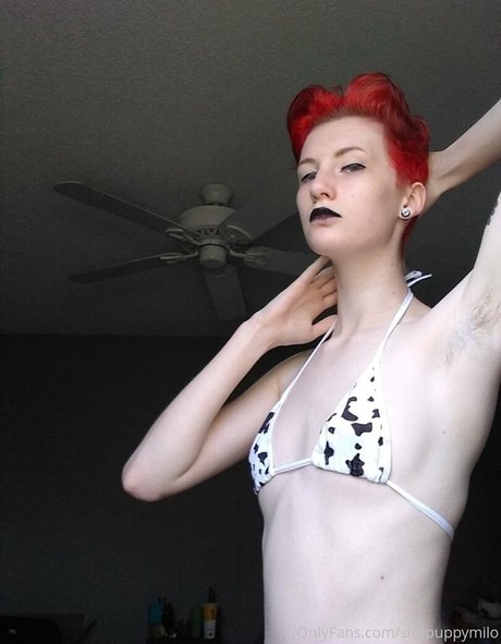 slutpuppymilo top star pics