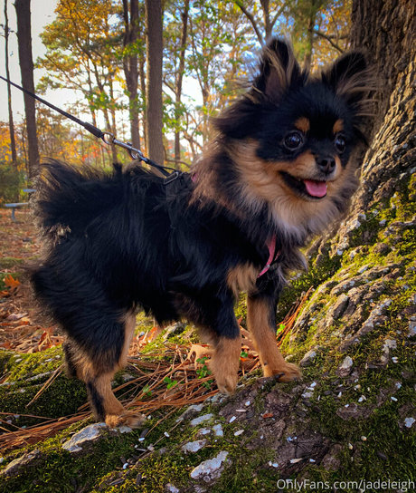 jadeleigh model free picture