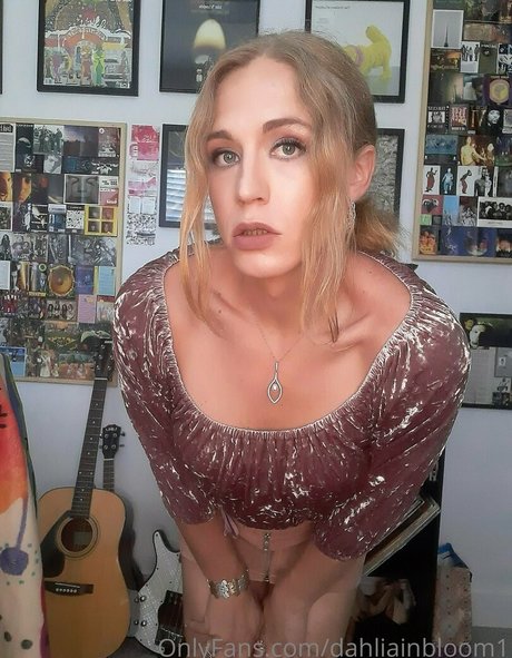 dahliainbloom1 best star image