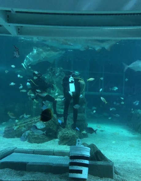 bdsm couple onlyfans beautiful pictures