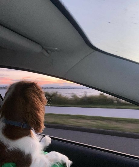 Amber Lee Lockhart exclusive actress image