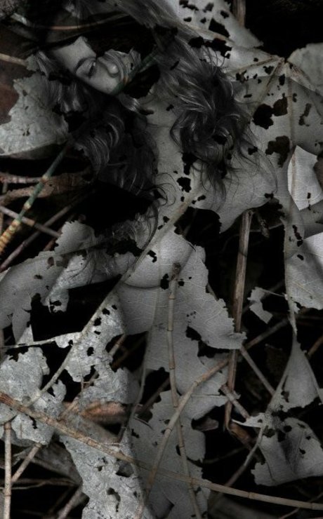 Rae Johnston nudes star photo