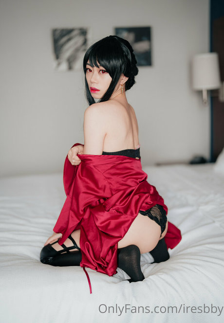 iresbby nice star galleries