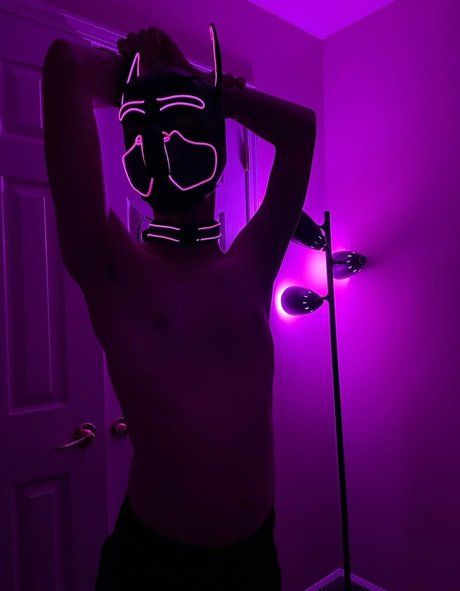 pup haze free pornstar archive