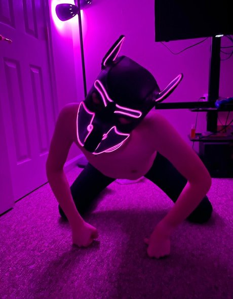 pup haze high quality actress galleries