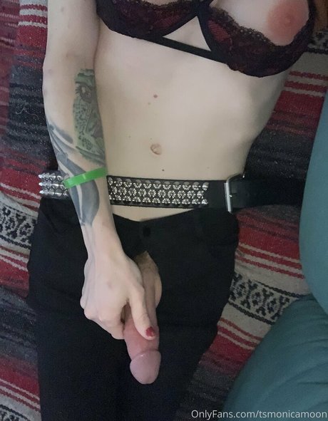 tsmonicamoon nice star pics