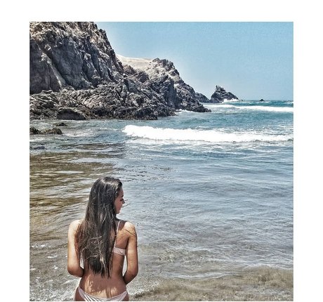 Dale08gc model hd img