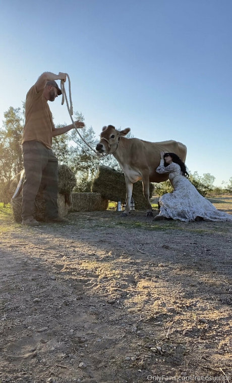 popular trans onlyfans art porn archive