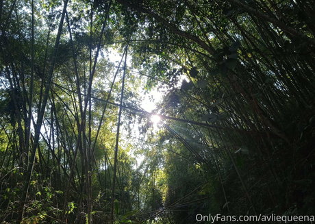 avliequeena top pornstar pics