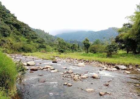 avliequeena nude star pictures