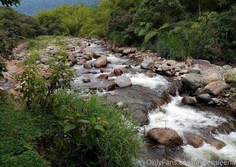 avliequeena sex actress archive