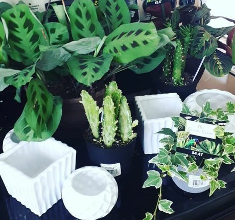 teacher nude onlyfans beautiful naked pictures