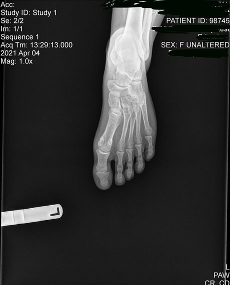 ebony shower onlyfans best photos