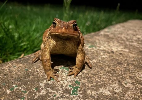 teen natural tits onlyfans art xxx photos